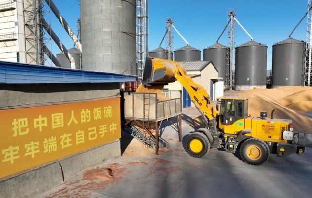 端牢中国饭碗、共护大国粮仓—写在第45个世界粮食日到来之际